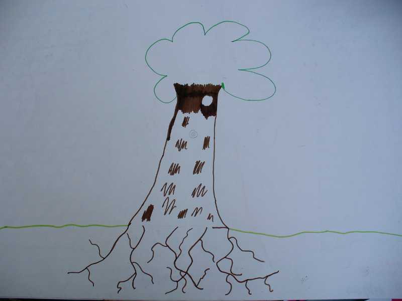 Case ed Alberi nei disegni dei bambini - Il Disegno Infantile